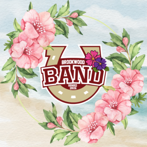 Fleece Throw Banket - Hawaii logo