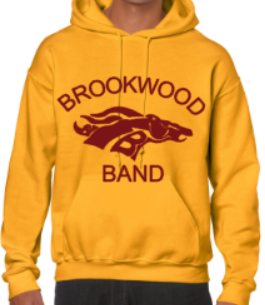 *New! Band Hoodie - Image 3